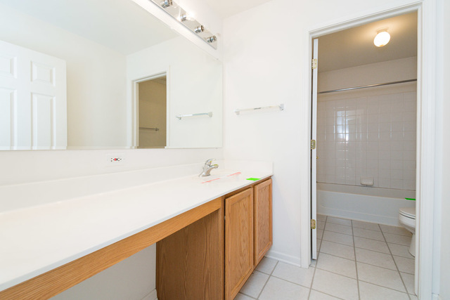 1605 Manhattan Street Bolingbrook, IL 60490 - Photo 26 of 29 a bathroom with a tub sink and mirror