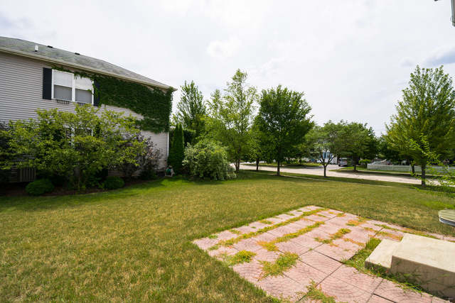 1605 Manhattan Street Bolingbrook, IL 60490 - Photo 6 of 29 a view of a swimming pool with a yard and trees