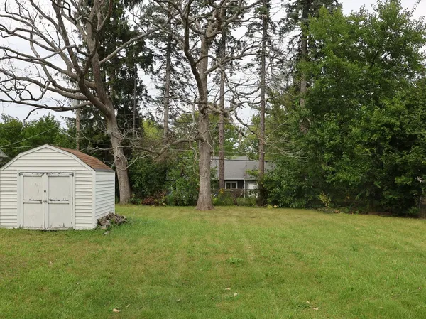 a view of a backyard with a garden and large trees