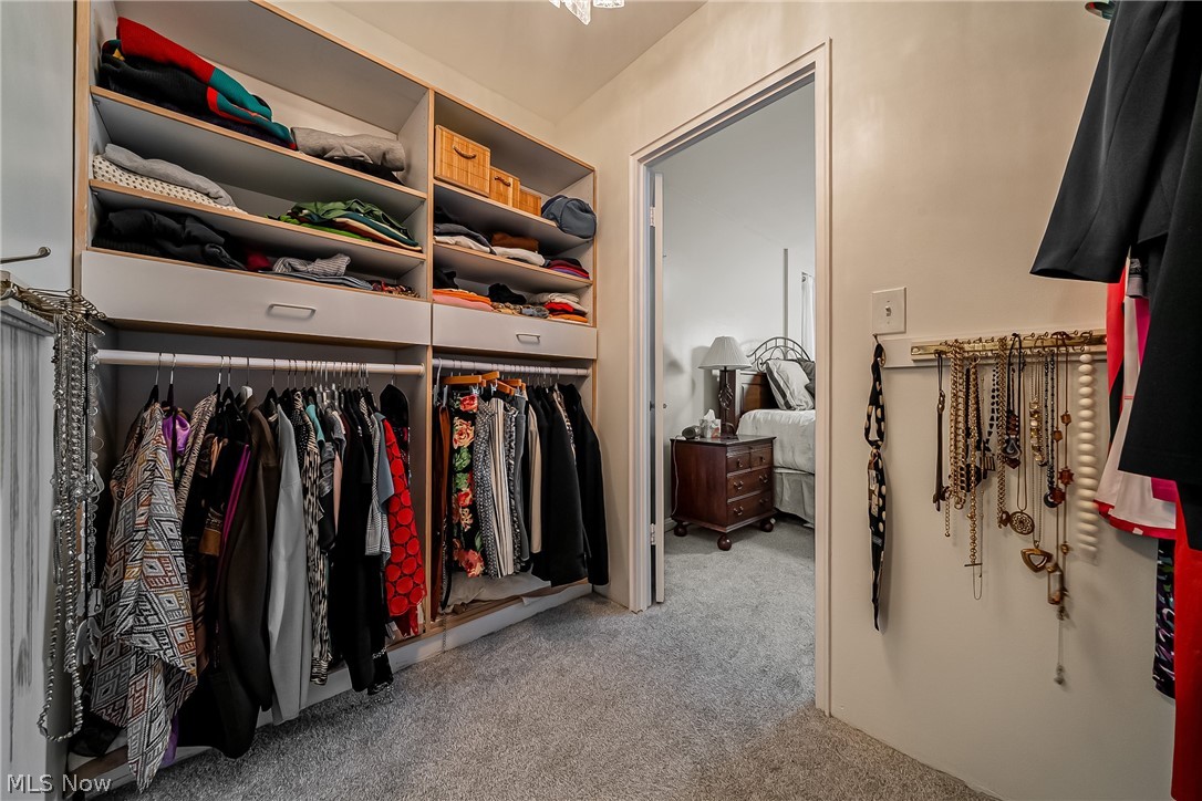 13800 Fairhill Road, Unit 306 Cleveland, OH 44120 - Photo 9 of 48 Walk in closet with light carpet