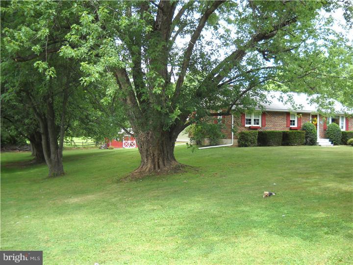 1455 Shenkel Road Pottstown, PA 19465 - Photo 3 of 24 Side Yard