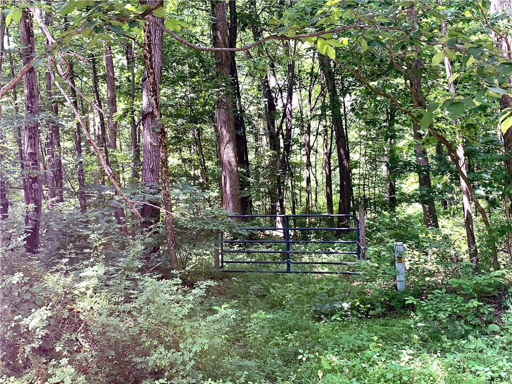 701 Pluto Road Ligonier, PA 15658 - Photo 8 of 9 Gallery Image 8