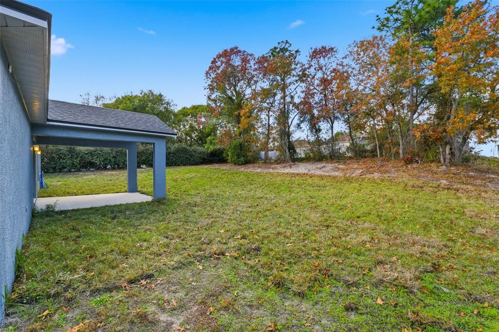 13477 Amanda Avenue Spring Hill, FL 34609 - Photo 27 of 46 a view of a yard with a tree