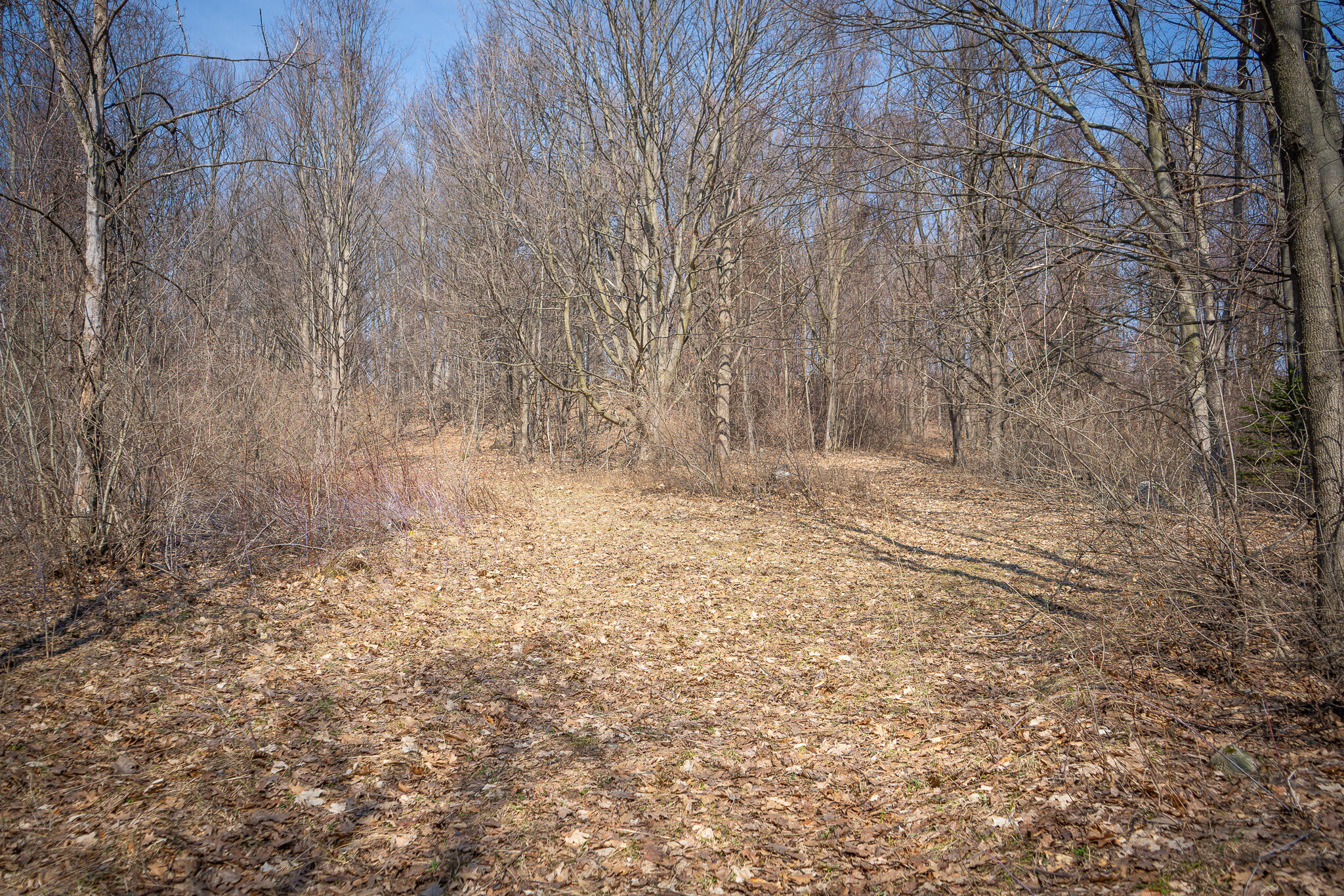 Parcel C West Grant Road New Era, MI 49446 - Photo 21 of 36 DSC08017
