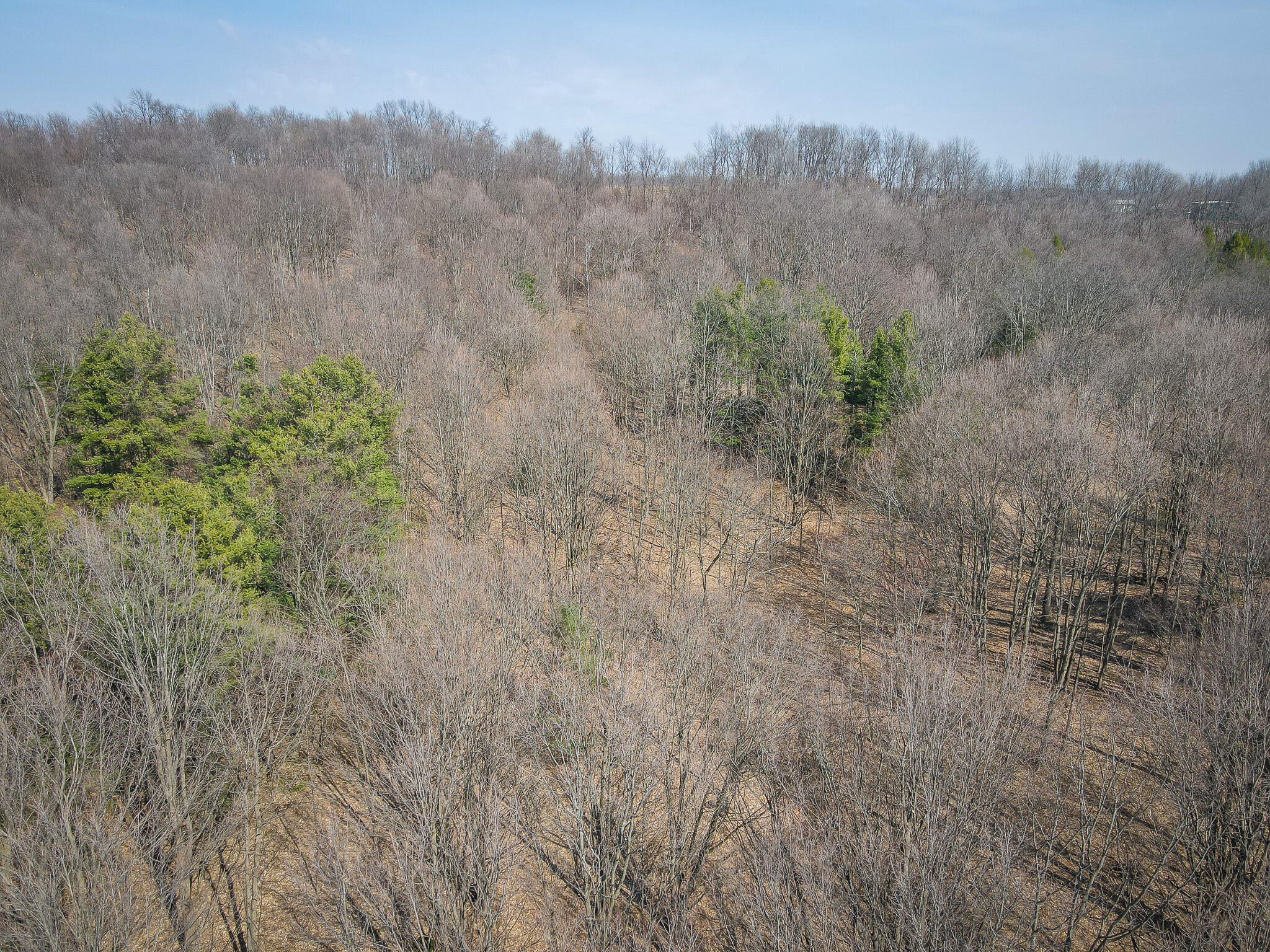 Parcel C West Grant Road New Era, MI 49446 - Photo 23 of 36 DJI_0706