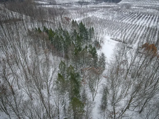 $150,000 | Parcel C West Grant Road, Shelby, MI 49455