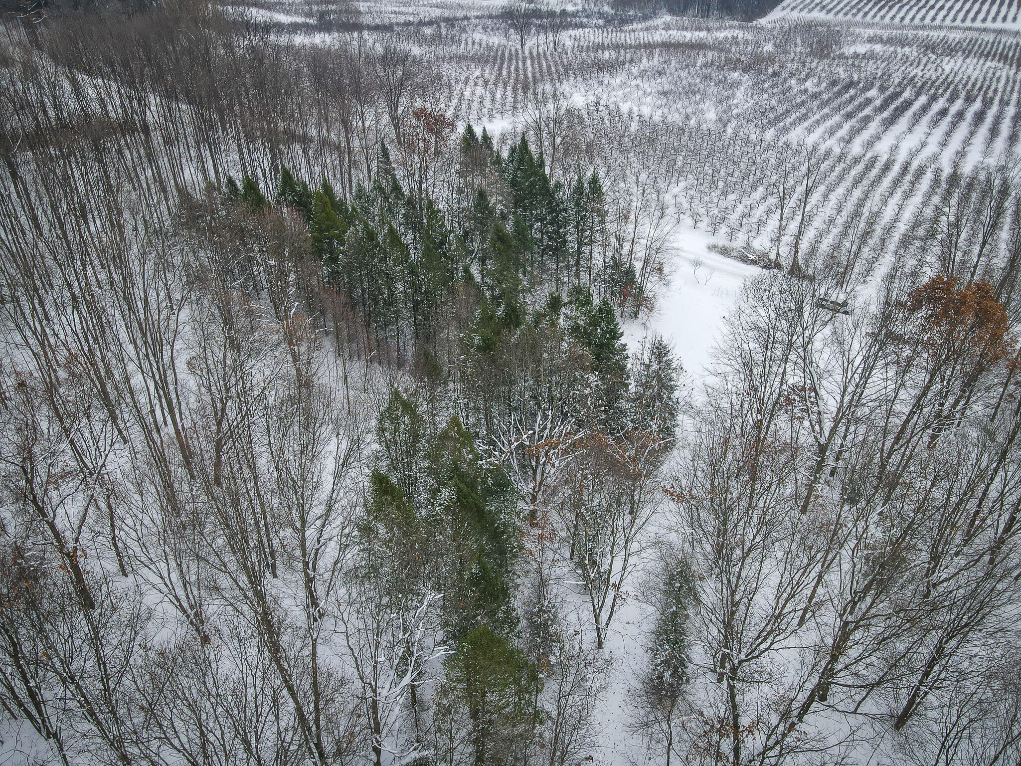 Parcel C West Grant Road Shelby, MI 49455 - Photo 23 of 41 DJI_0071