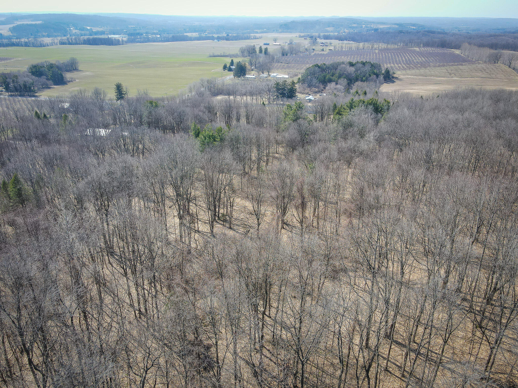 Parcel C West Grant Road New Era, MI 49446 - Photo 24 of 36 DJI_0698