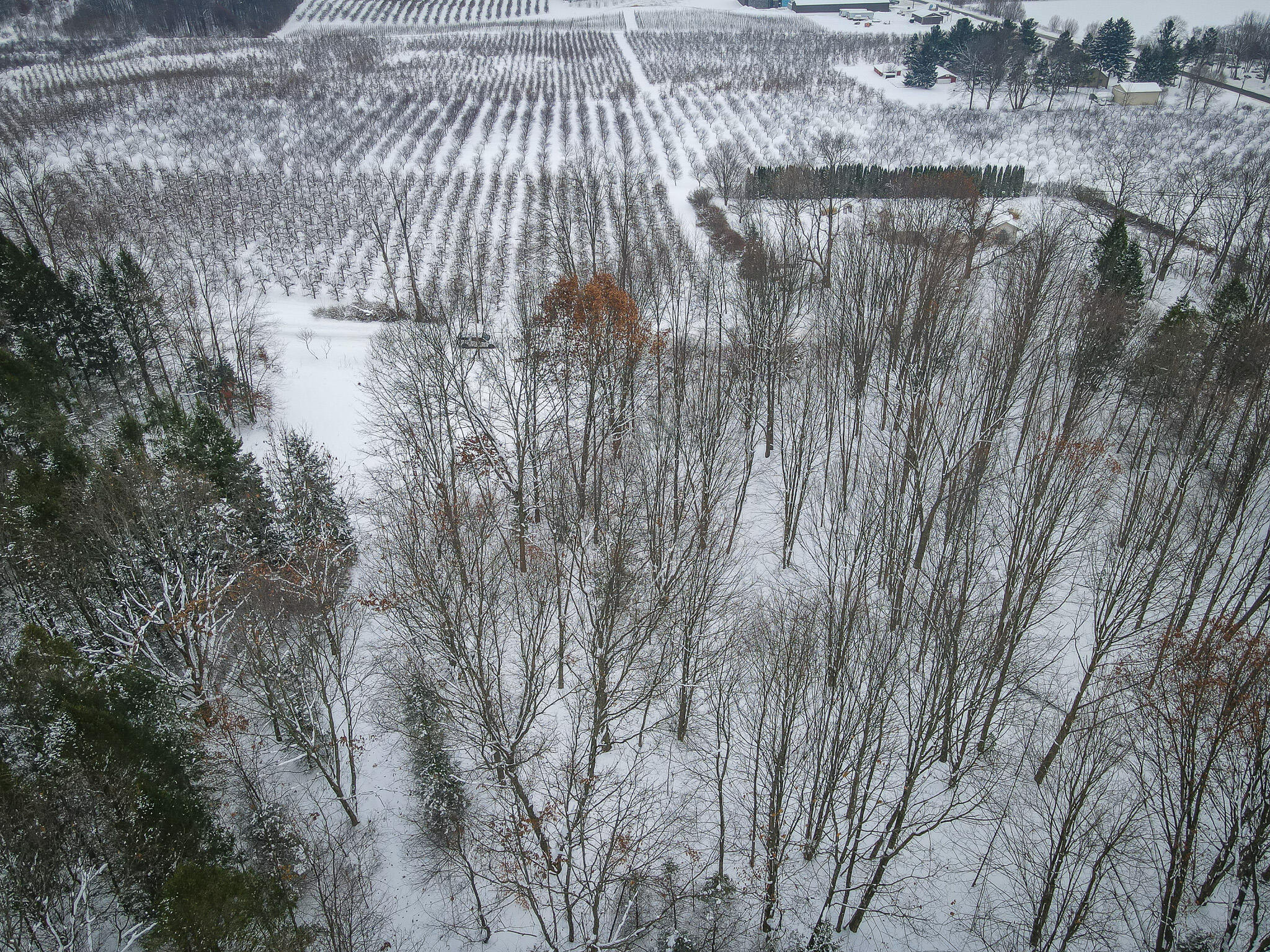 Parcel C West Grant Road Shelby, MI 49455 - Photo 24 of 41 DJI_0072