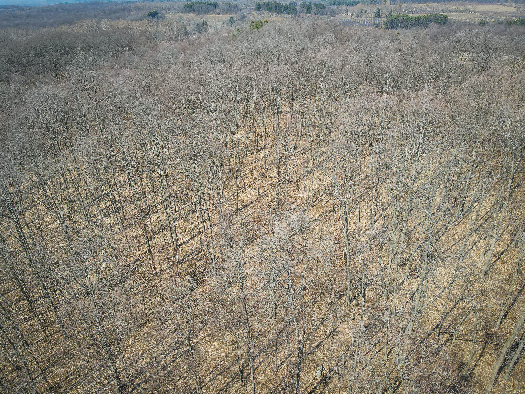 Parcel C West Grant Road New Era, MI 49446 - Photo 25 of 36 DJI_0700