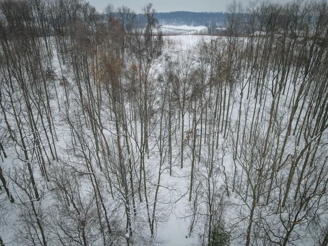 $150,000 | Parcel C West Grant Road, Shelby, MI 49455