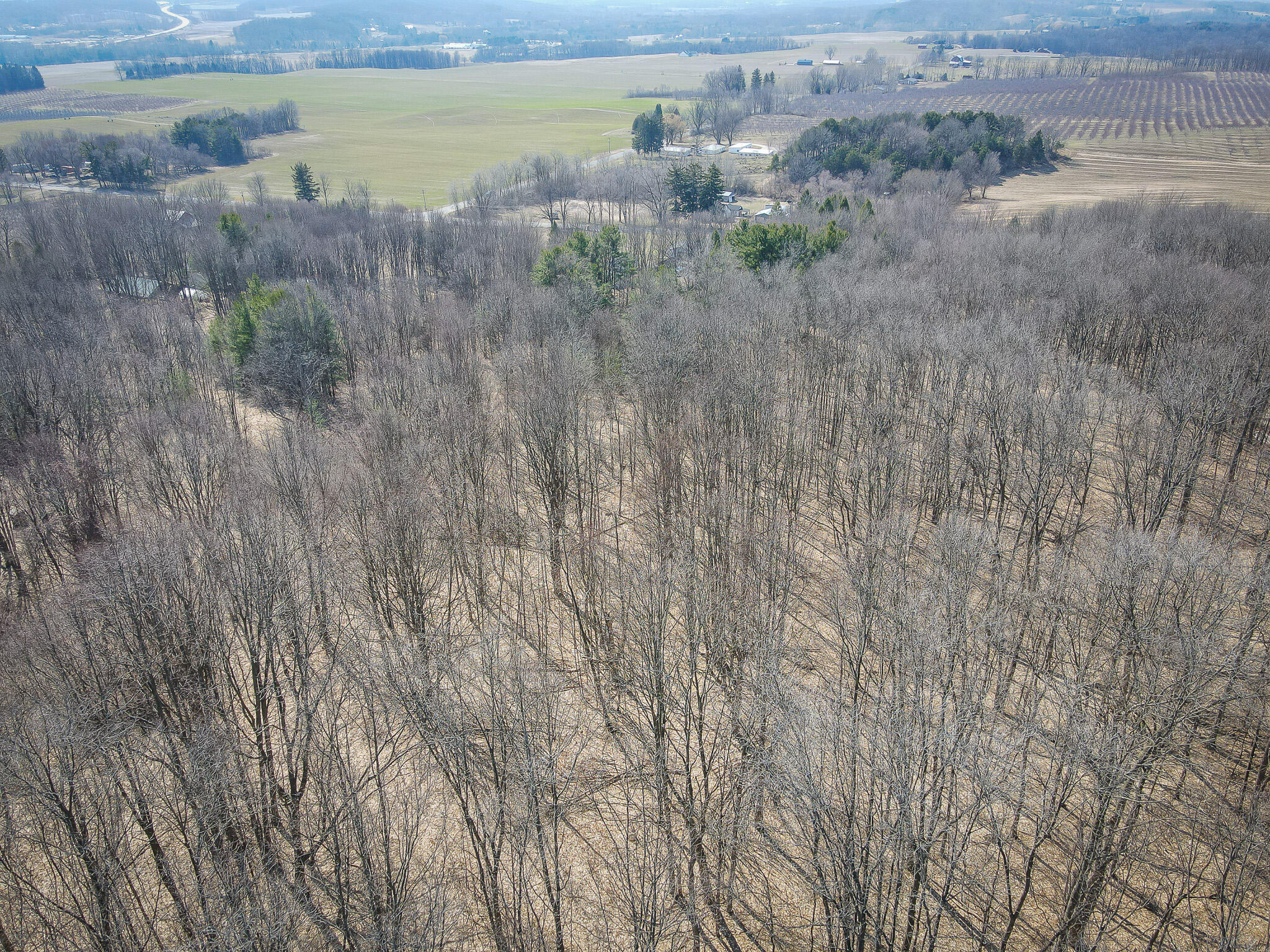 Parcel C West Grant Road New Era, MI 49446 - Photo 26 of 36 DJI_0701