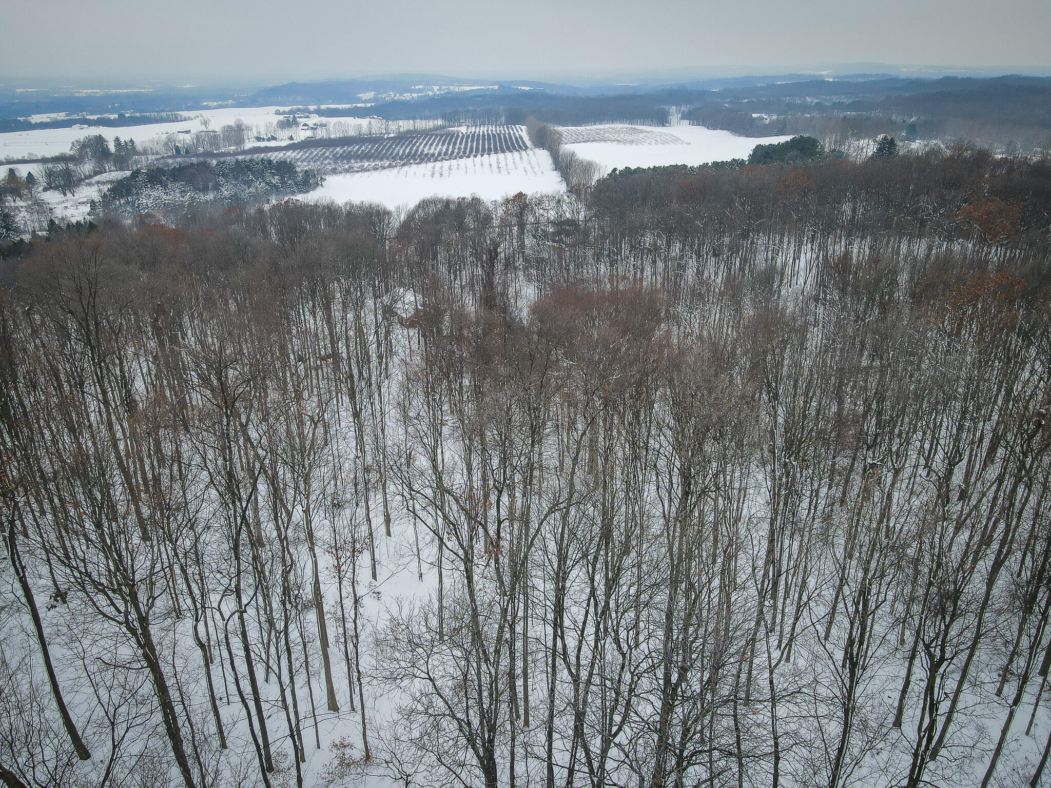Parcel C West Grant Road Shelby, MI 49455 - Photo 26 of 41 DJI_0077