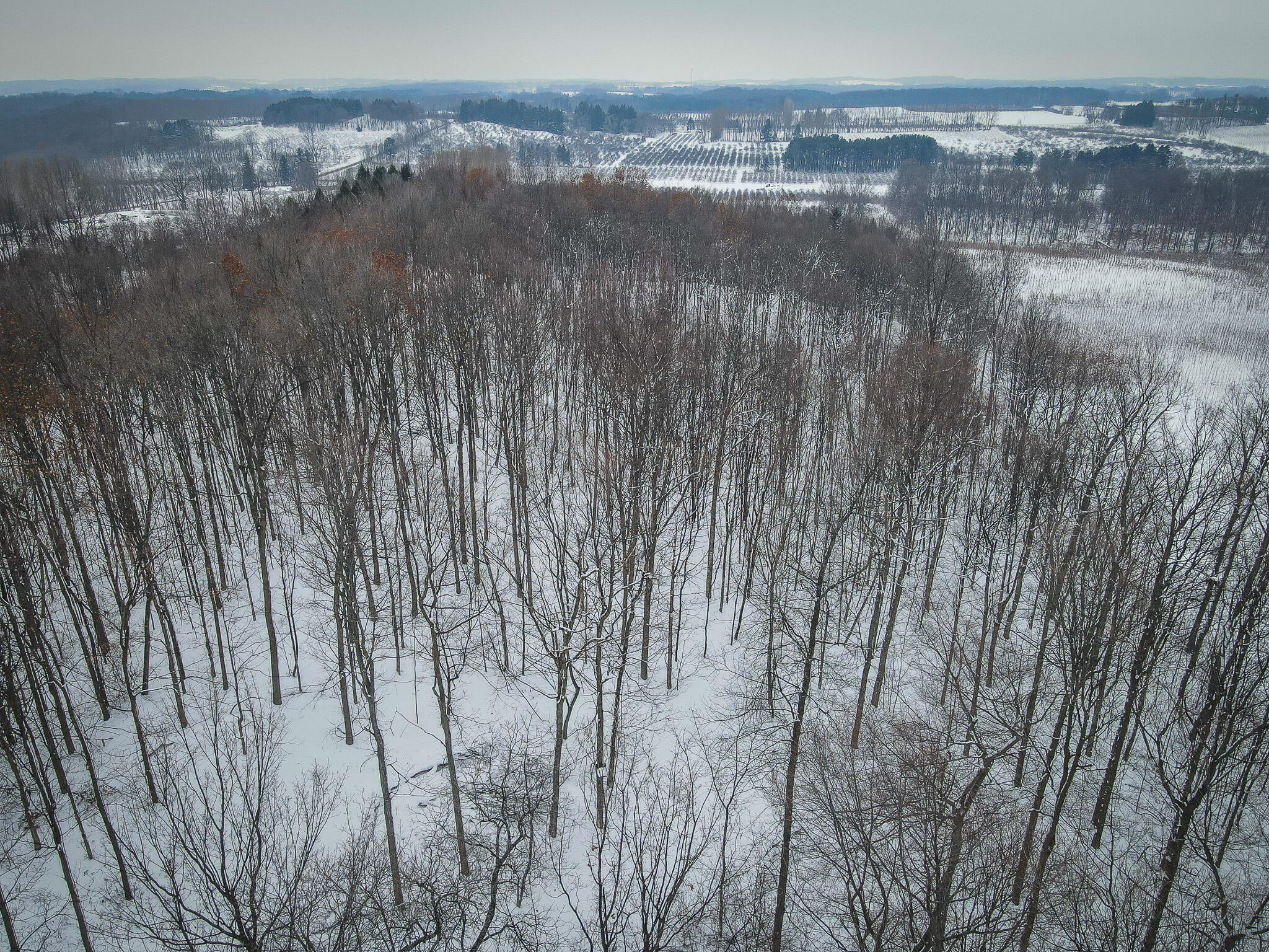 Parcel C West Grant Road Shelby, MI 49455 - Photo 27 of 41 DJI_0078