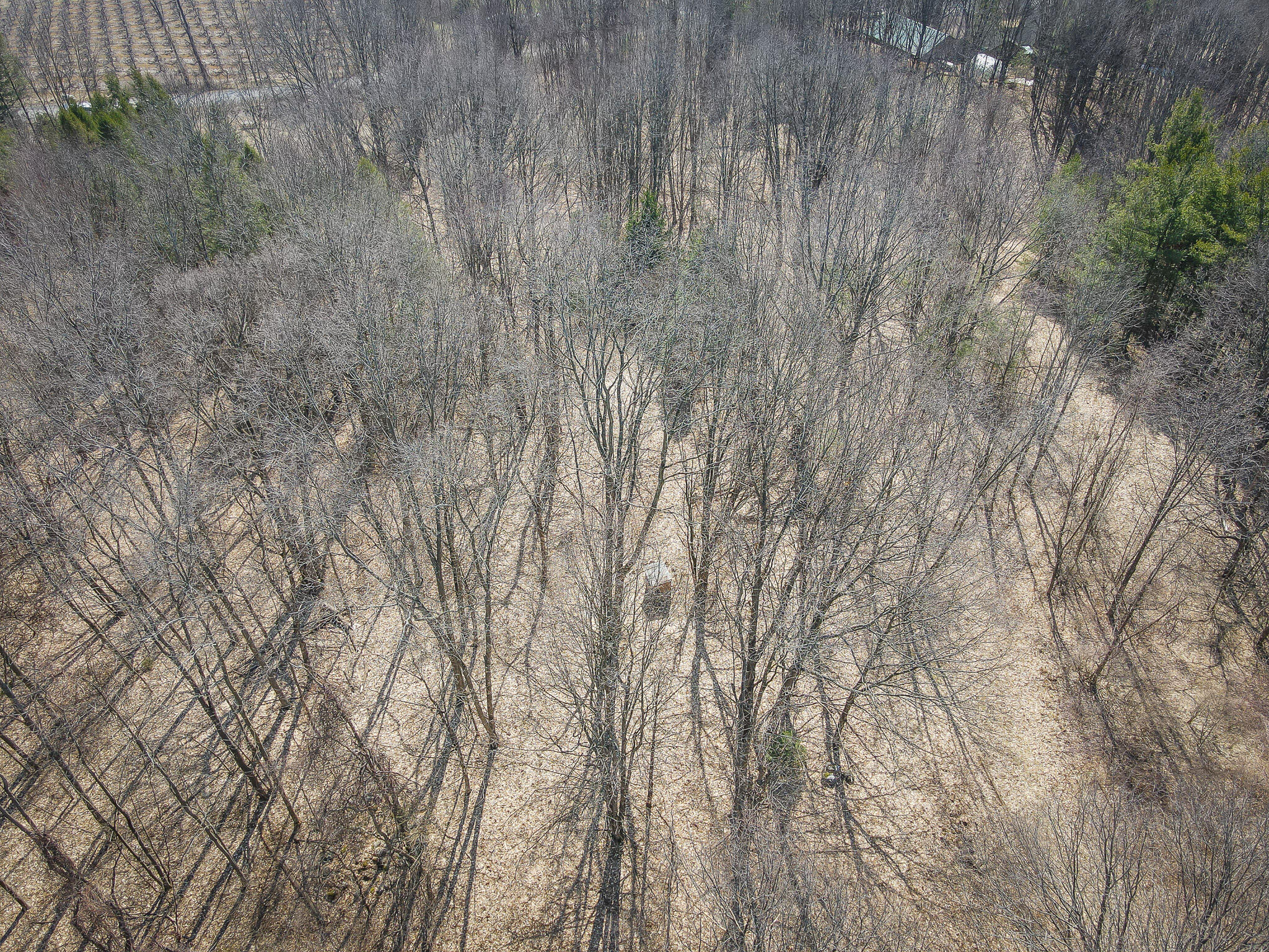 Parcel C West Grant Road New Era, MI 49446 - Photo 28 of 36 DJI_0703