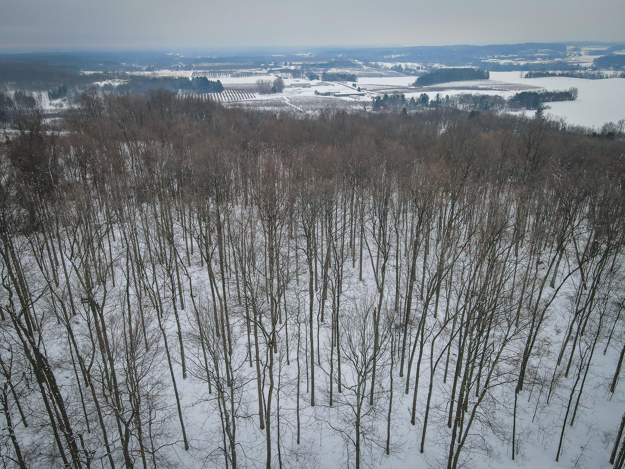 Parcel C West Grant Road Shelby, MI 49455 - Photo 28 of 41 DJI_0079