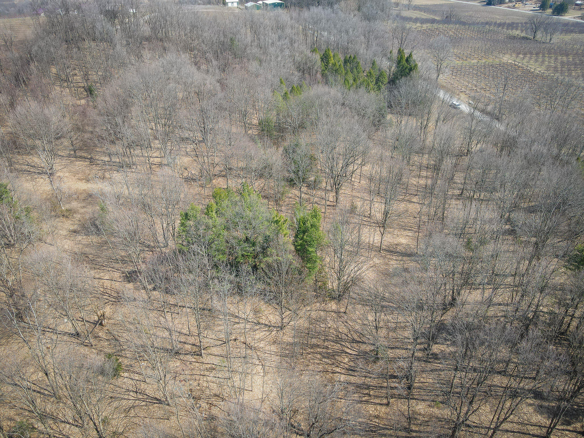 Parcel C West Grant Road New Era, MI 49446 - Photo 3 of 36 DJI_0694