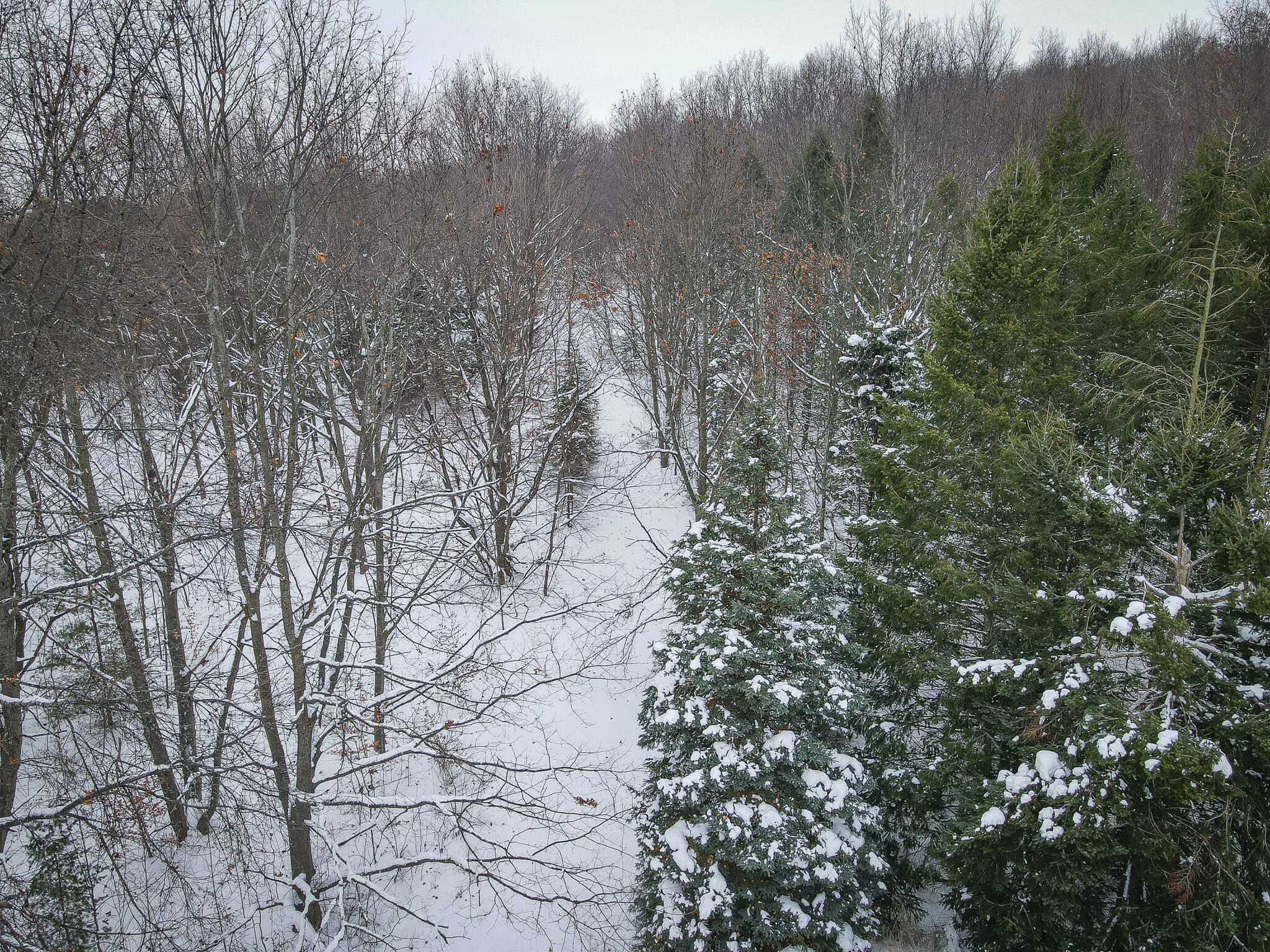 Parcel C West Grant Road Shelby, MI 49455 - Photo 32 of 41 DJI_0085