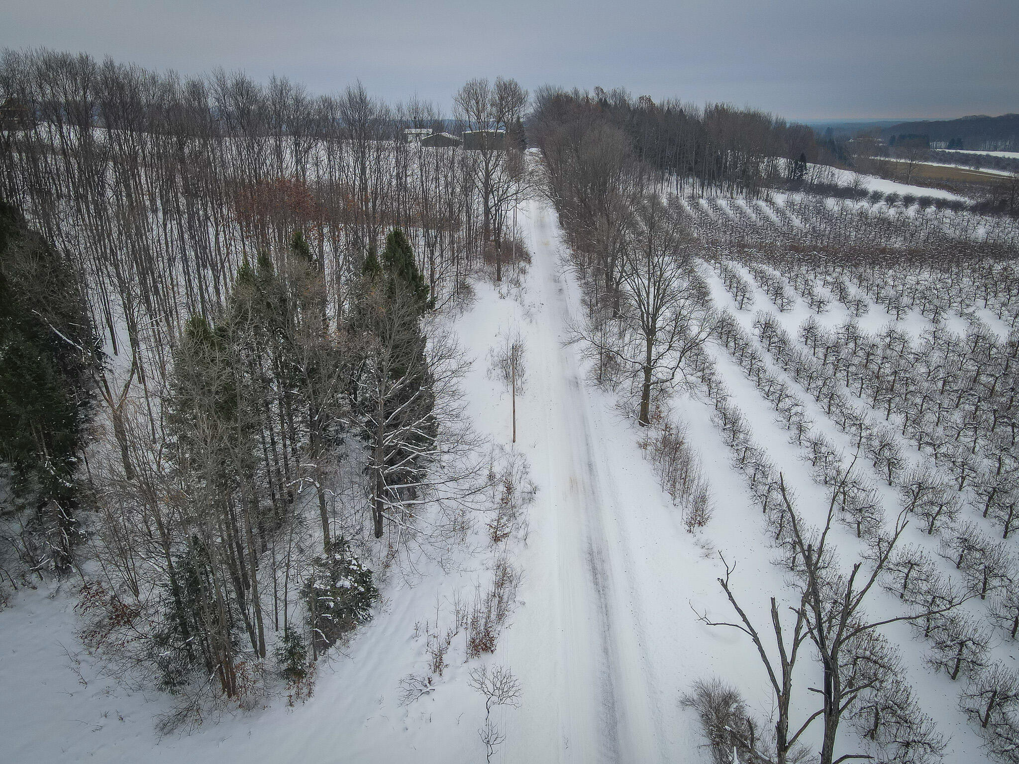 Parcel C West Grant Road Shelby, MI 49455 - Photo 33 of 41 DJI_0093