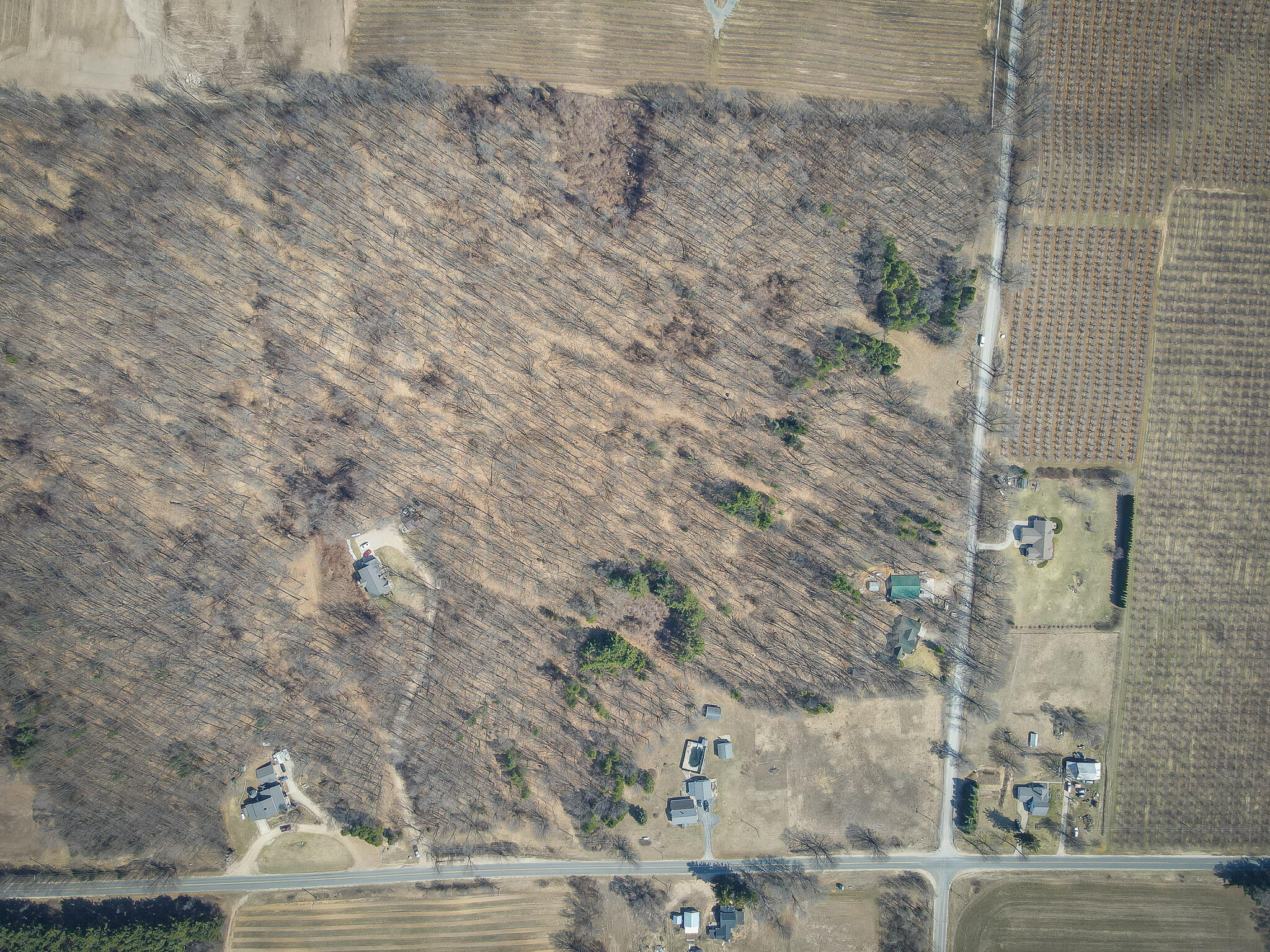 Parcel C West Grant Road New Era, MI 49446 - Photo 33 of 36 DJI_0685