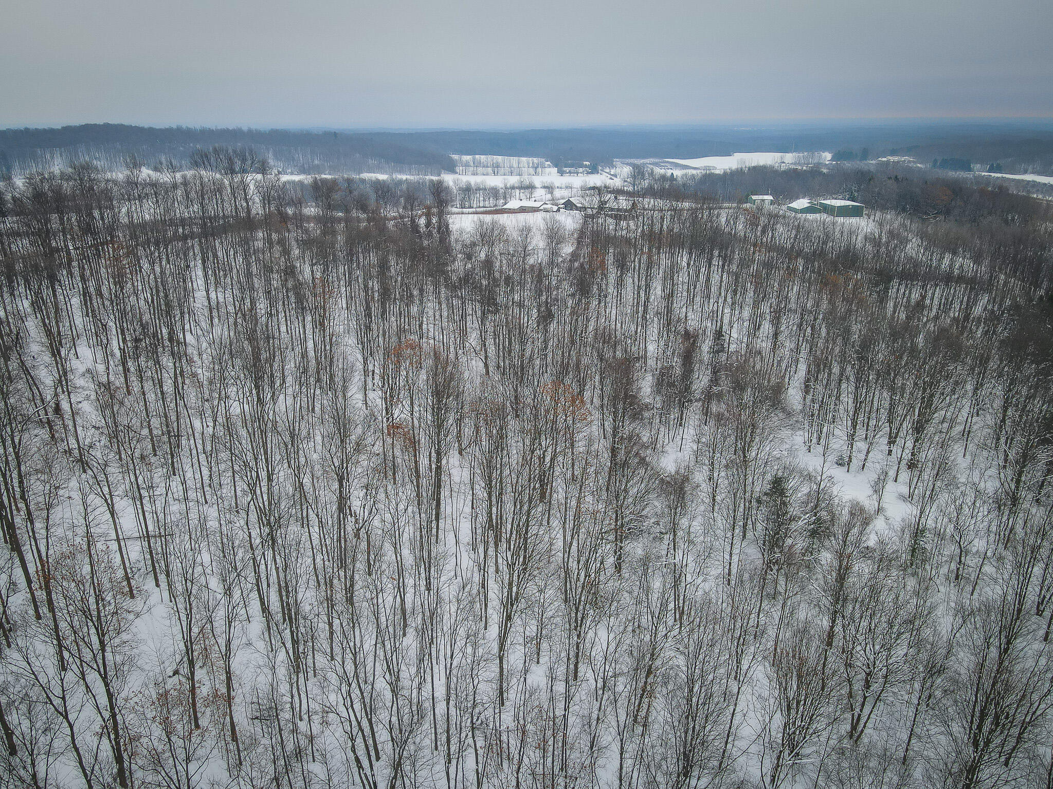 Parcel C West Grant Road Shelby, MI 49455 - Photo 34 of 41 DJI_0097