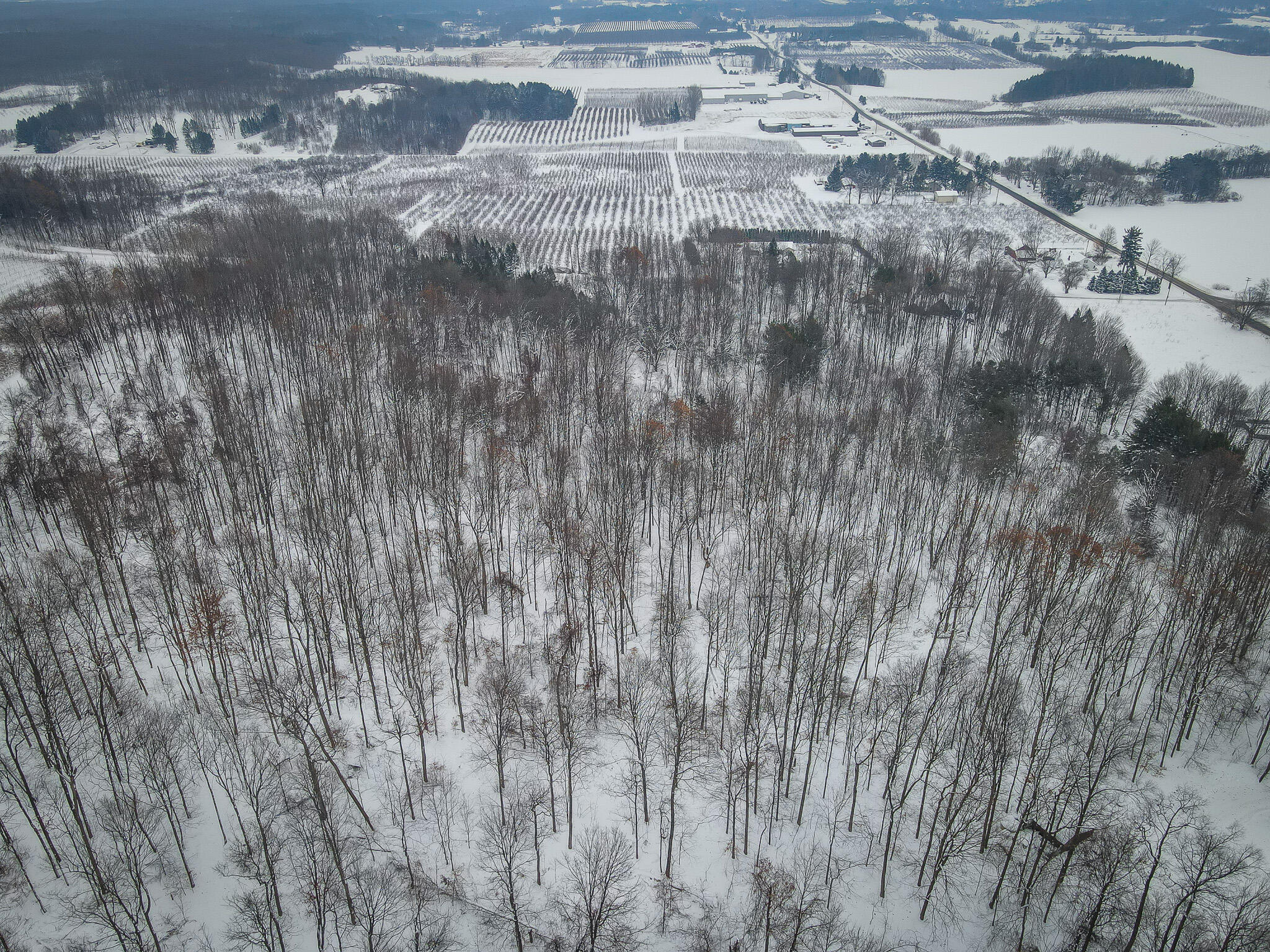 Parcel C West Grant Road Shelby, MI 49455 - Photo 37 of 41 DJI_0100