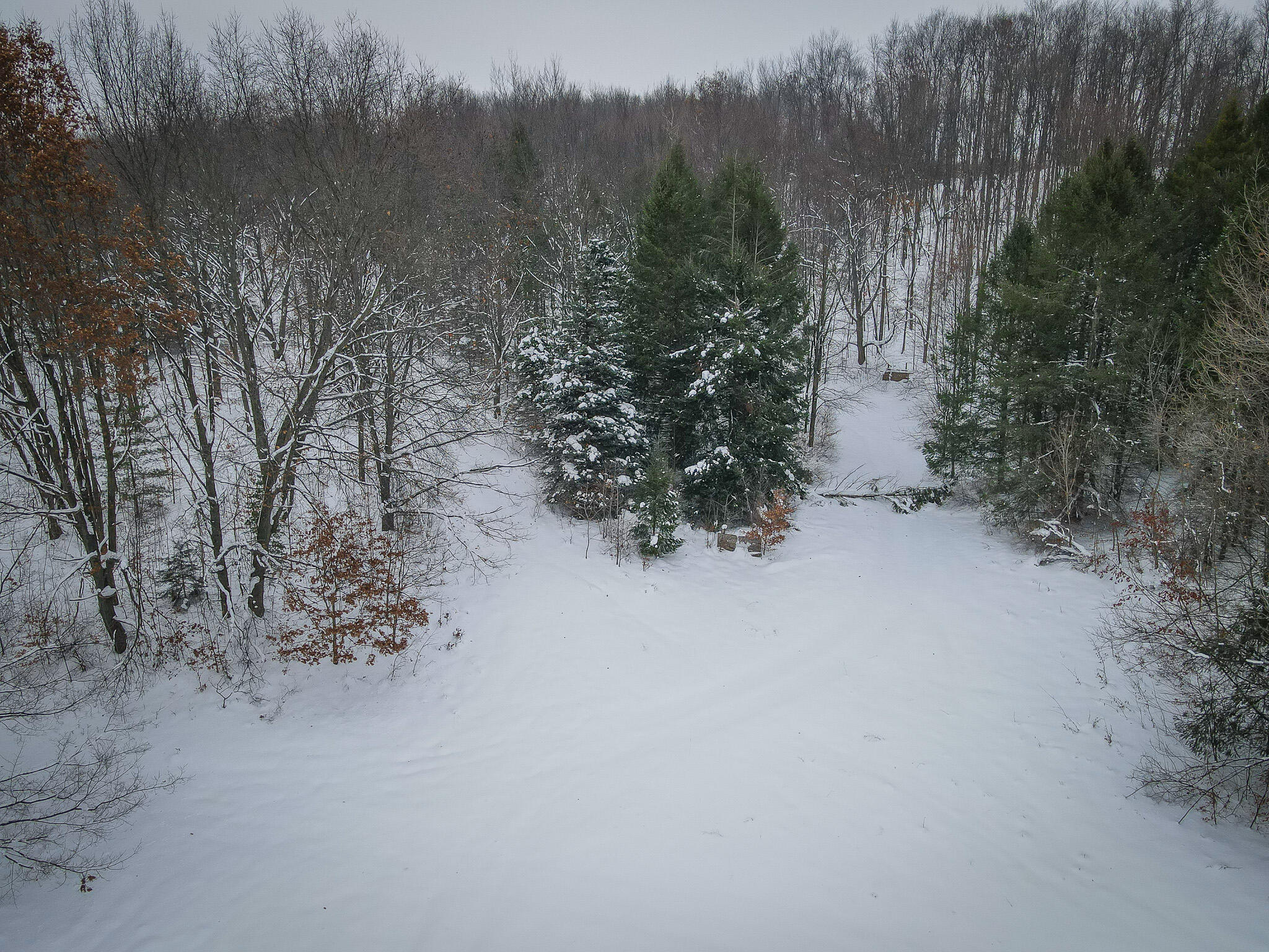 Parcel C West Grant Road Shelby, MI 49455 - Photo 5 of 41 DJI_0051