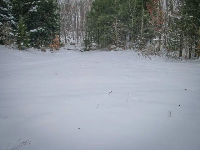 $150,000 | Parcel C West Grant Road, Shelby, MI 49455