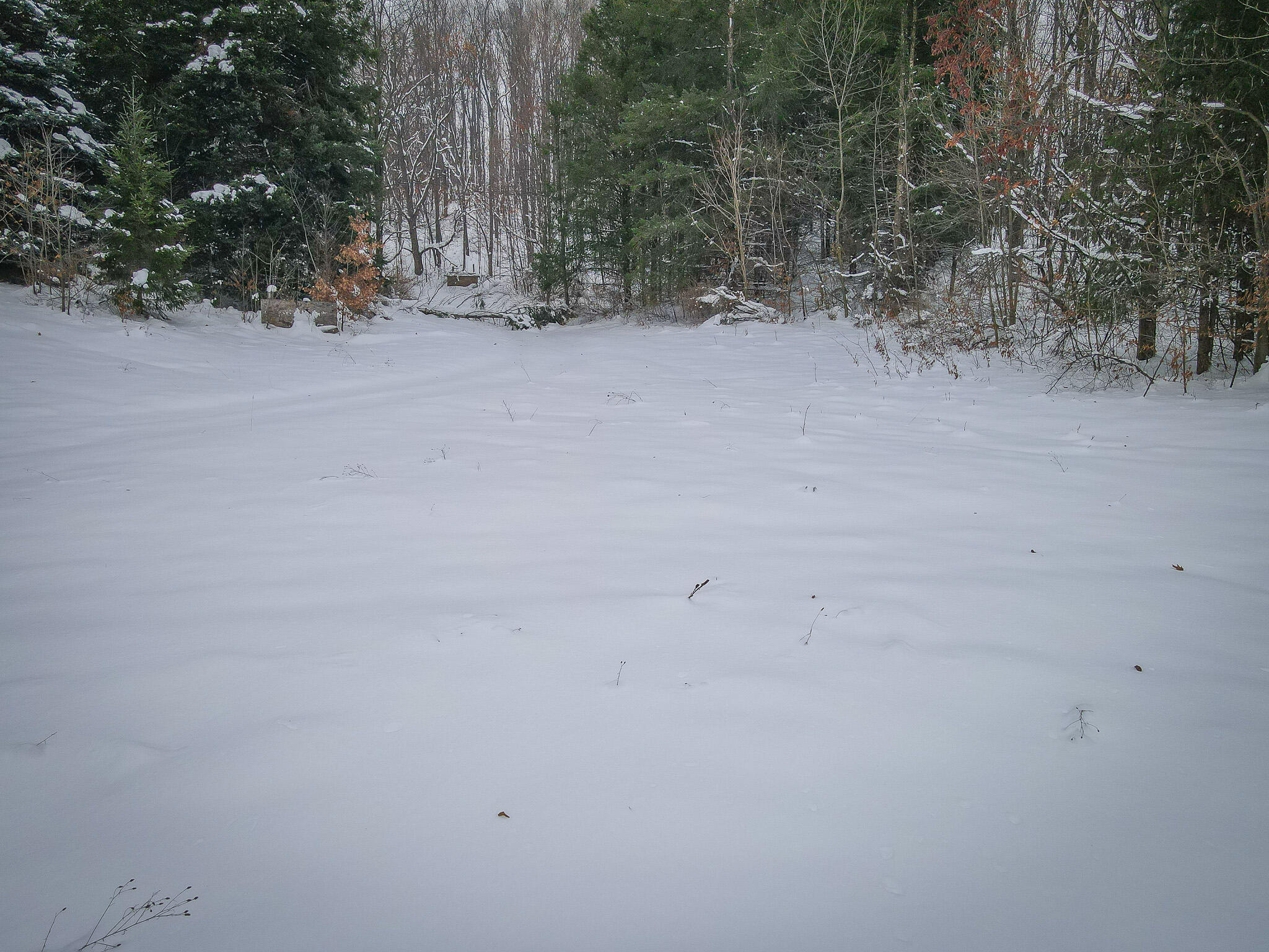Parcel C West Grant Road Shelby, MI 49455 - Photo 6 of 41 DJI_0052