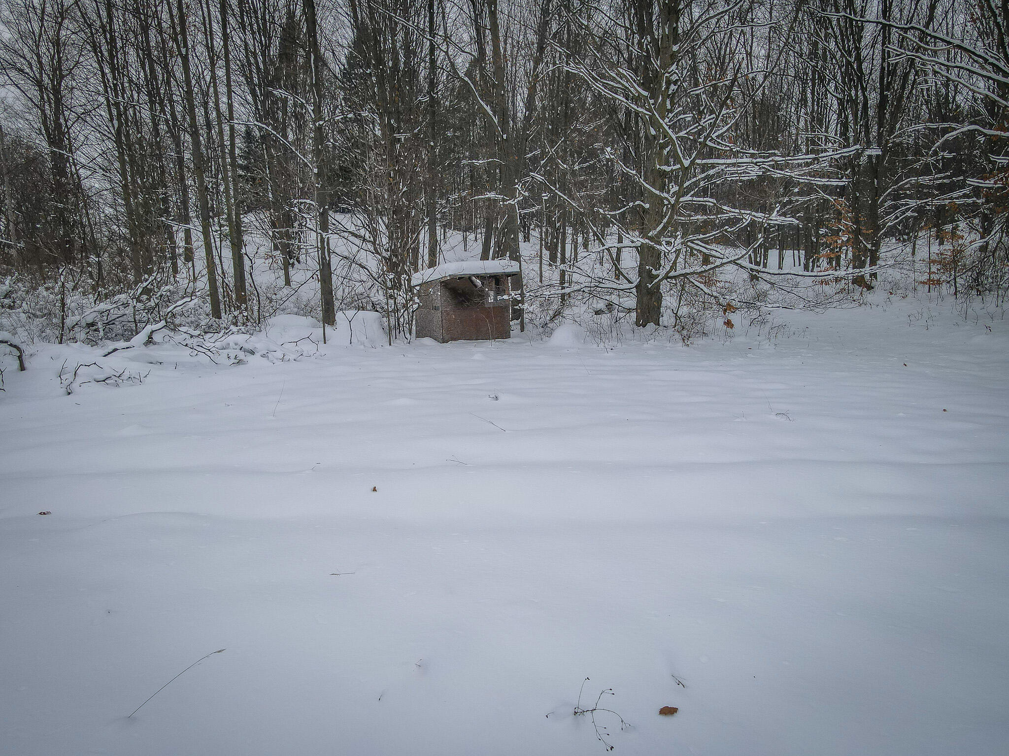 Parcel C West Grant Road Shelby, MI 49455 - Photo 7 of 41 DJI_0053