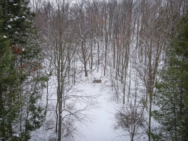 $150,000 | Parcel C West Grant Road, Shelby, MI 49455