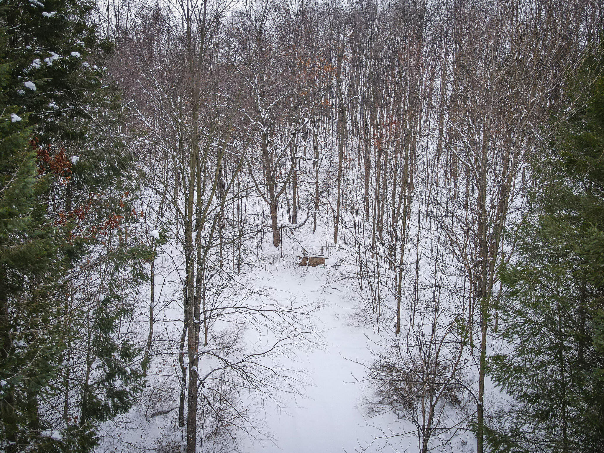 Parcel C West Grant Road Shelby, MI 49455 - Photo 8 of 41 DJI_0054