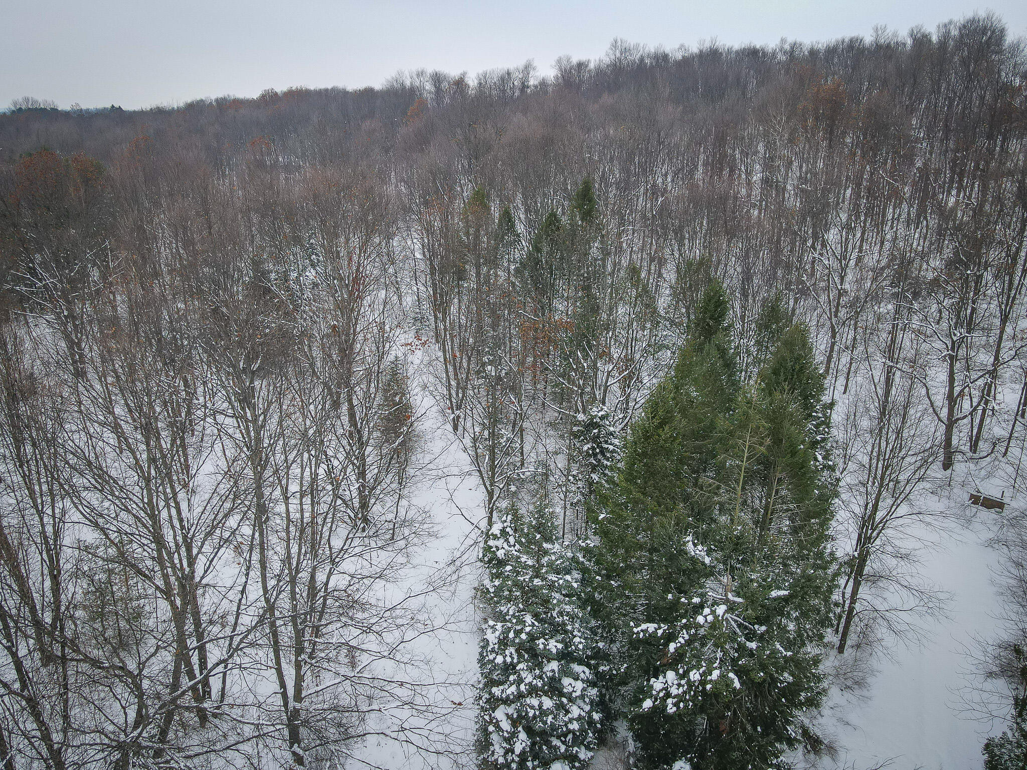 Parcel C West Grant Road Shelby, MI 49455 - Photo 9 of 41 DJI_0055