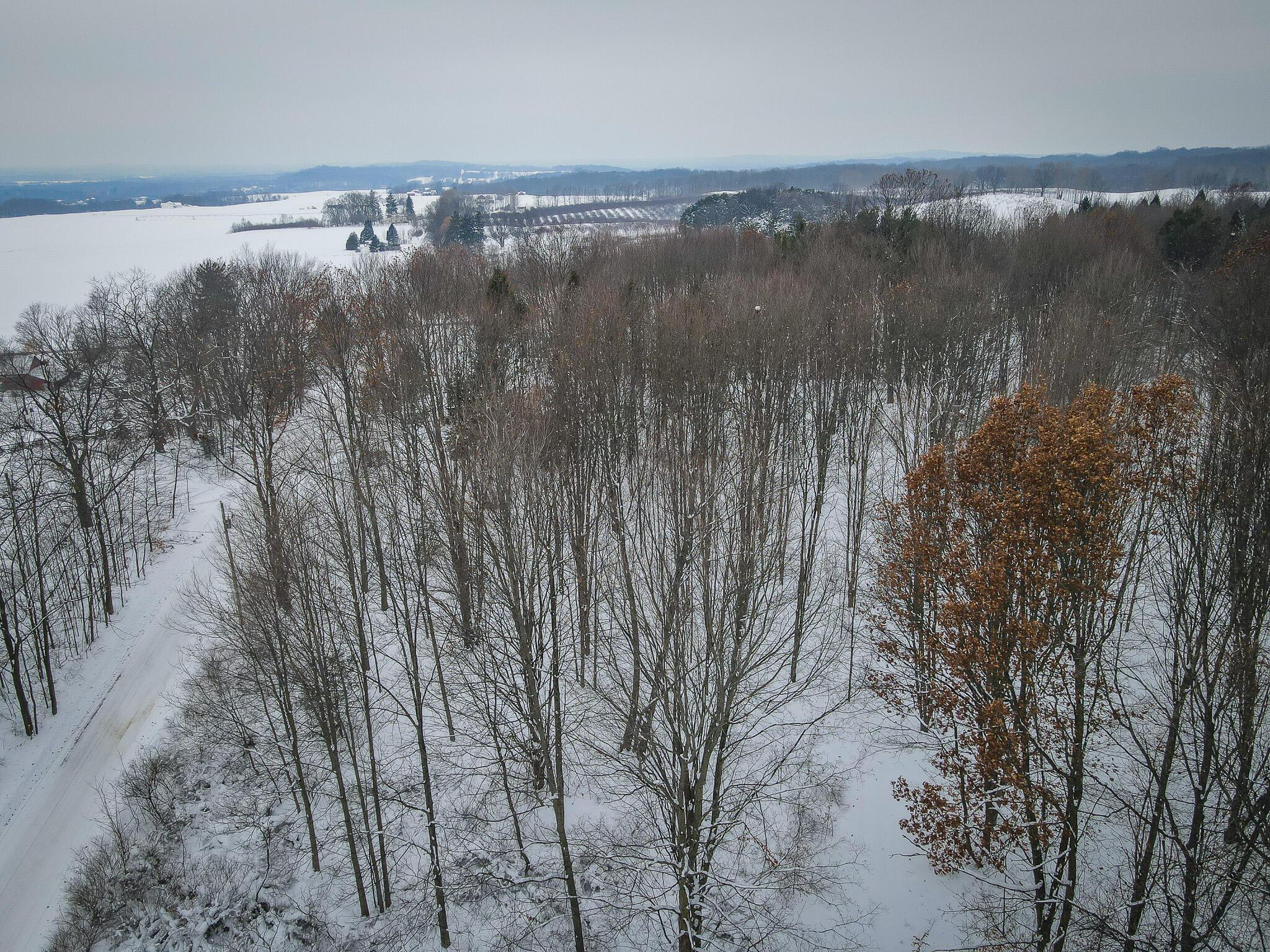 Parcel C West Grant Road Shelby, MI 49455 - Photo 10 of 41 DJI_0056