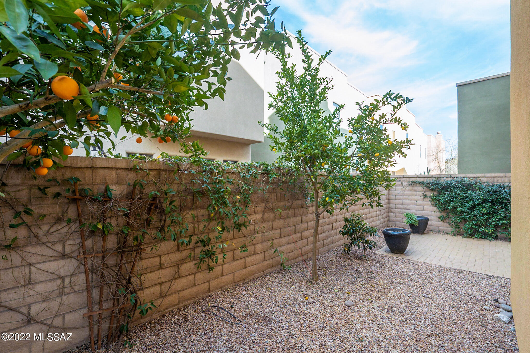 175 East Castlefield Circle Tucson, AZ 85704 - Photo 44 of 48