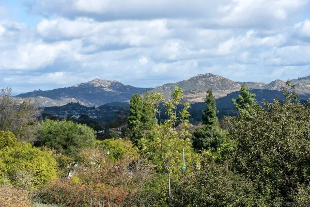 an aerial view of houses covered in trees