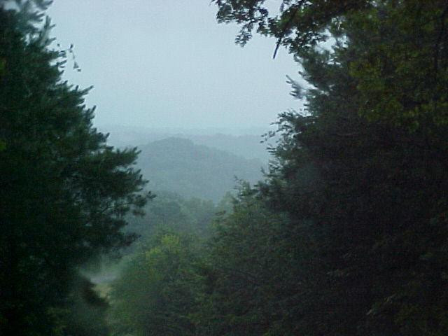 391 North Upper River Road Livingston, KY 40445 - Photo 1 of 1 Photo 1