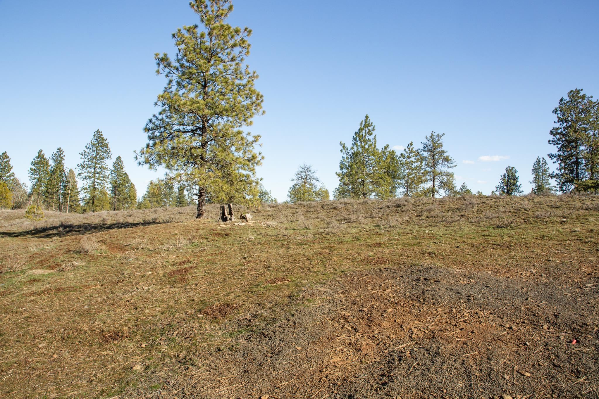24539 South Pine Grove Road Cheney, WA 99004 - Photo 25 of 33