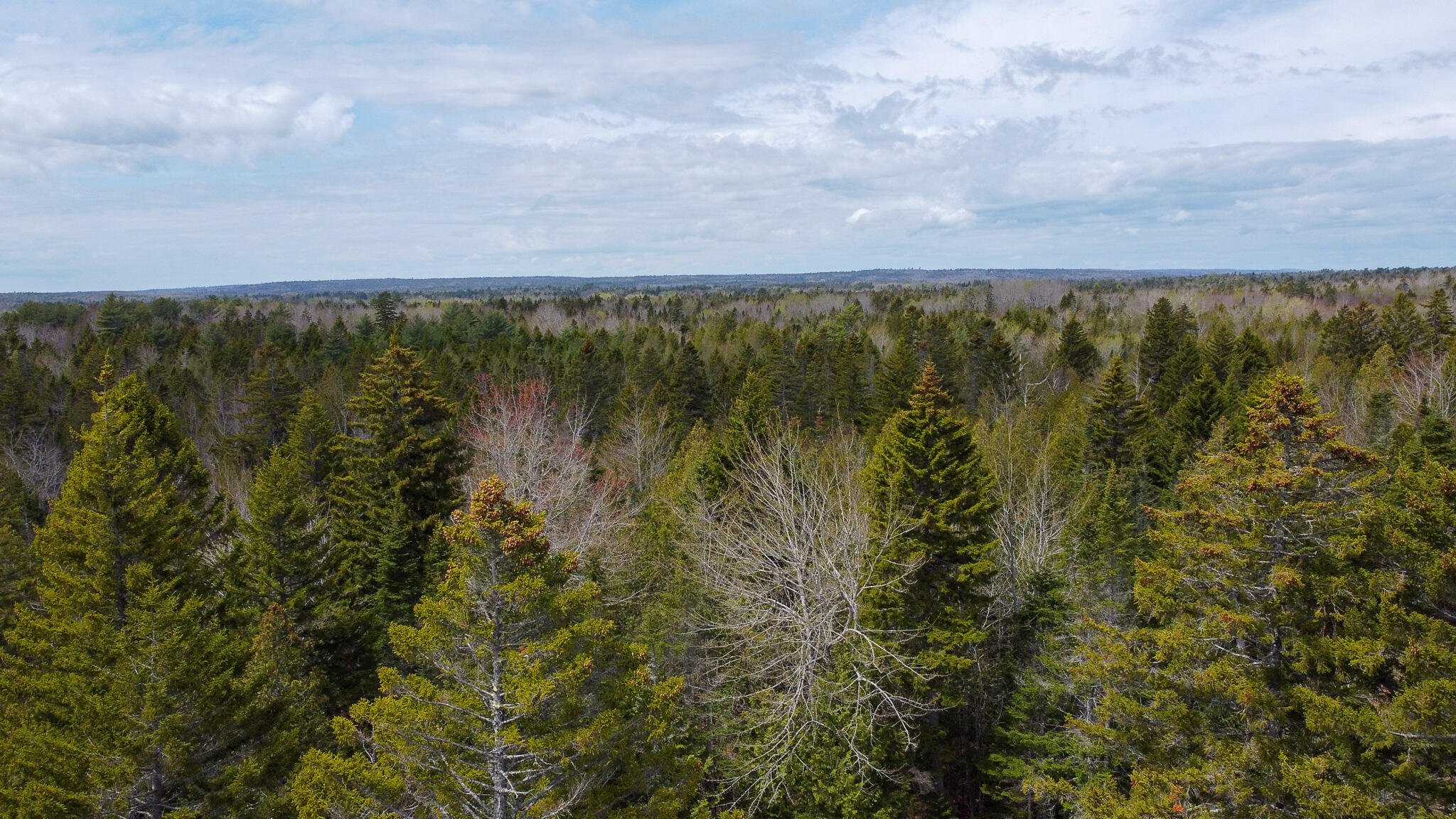 58 High Head Road East Machias, ME 04630 - Photo 15 of 17 UAFD4287