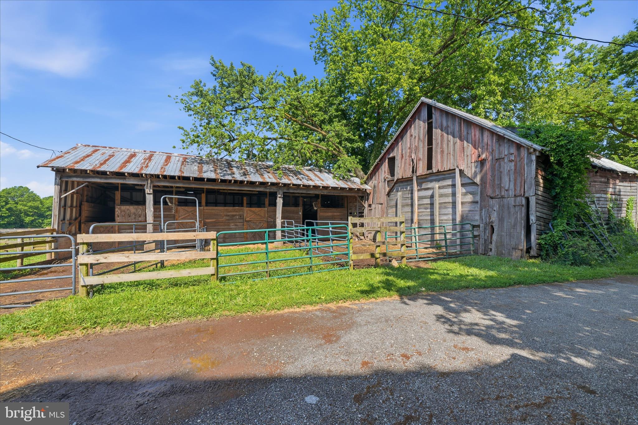20800 Whites Ferry Road Poolesville, MD 20837 - Photo 73 of 94 More Stalls