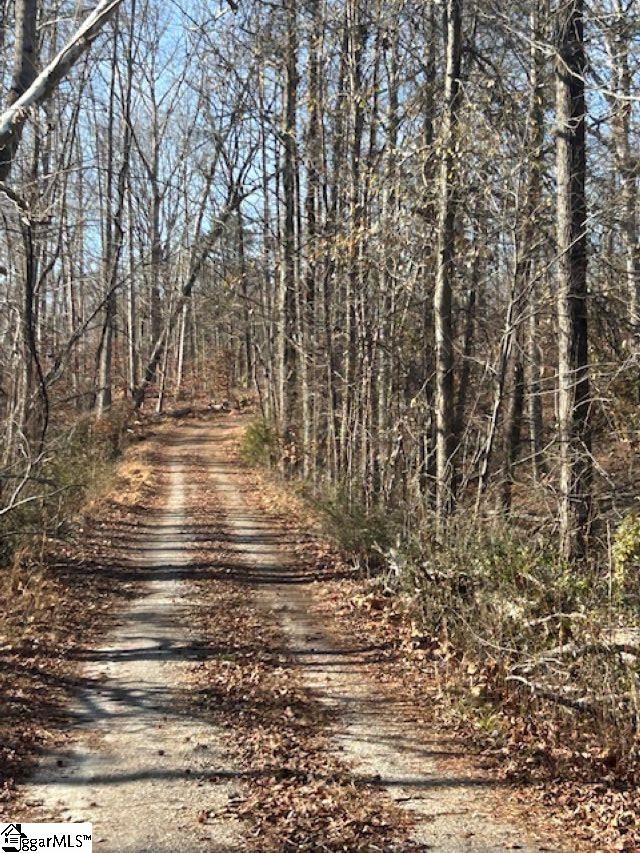 609 North Fishtrap Road Easley, SC 29640 - Photo 2 of 5