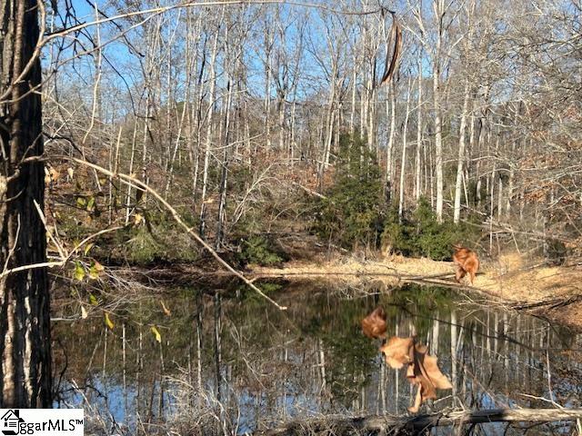 609 North Fishtrap Road Easley, SC 29640 - Photo 3 of 5