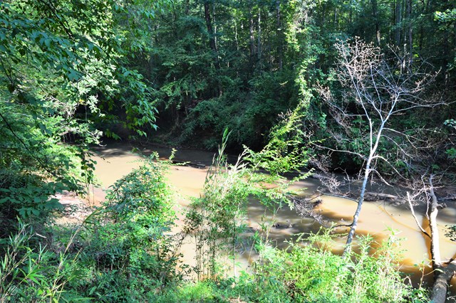 Lot 5 Kingsboro Road Hamilton, GA 31811 - Photo 11 of 12 View downstream from secondary location