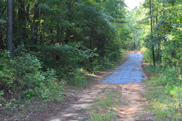 Lot 5 Kingsboro Road Hamilton, GA 31811 - Photo 2 of 12 Private gravel/dirt driveway to access property