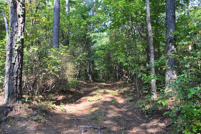Lot 5 Kingsboro Road Hamilton, GA 31811 - Photo 3 of 12 Dirt path from driveway headed toward trails