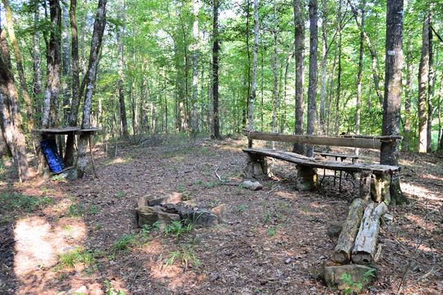 Lot 5 Kingsboro Road Hamilton, GA 31811 - Photo 4 of 12 Campsite-- perfect location for a home to be built
