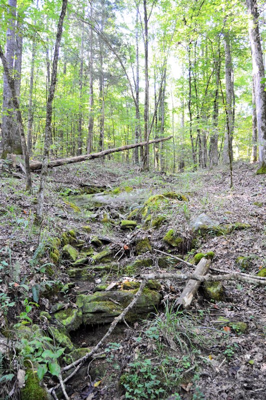 Lot 5 Kingsboro Road Hamilton, GA 31811 - Photo 10 of 12 Beautiful natural brook!