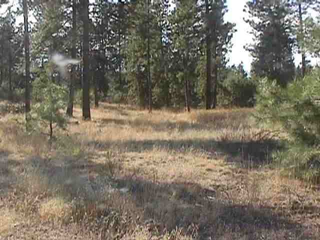 0 Hatch & Fender Road Colbert, WA 99005 - Photo 2 of 5