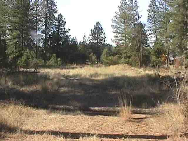 0 Hatch & Fender Road Colbert, WA 99005 - Photo 3 of 5