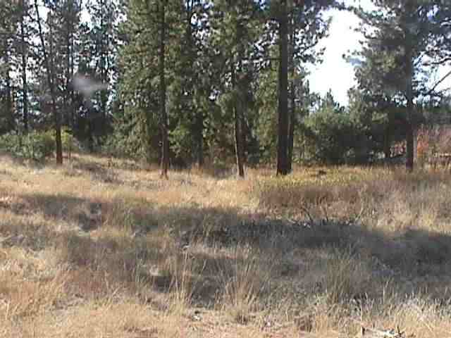 0 Hatch & Fender Road Colbert, WA 99005 - Photo 5 of 5